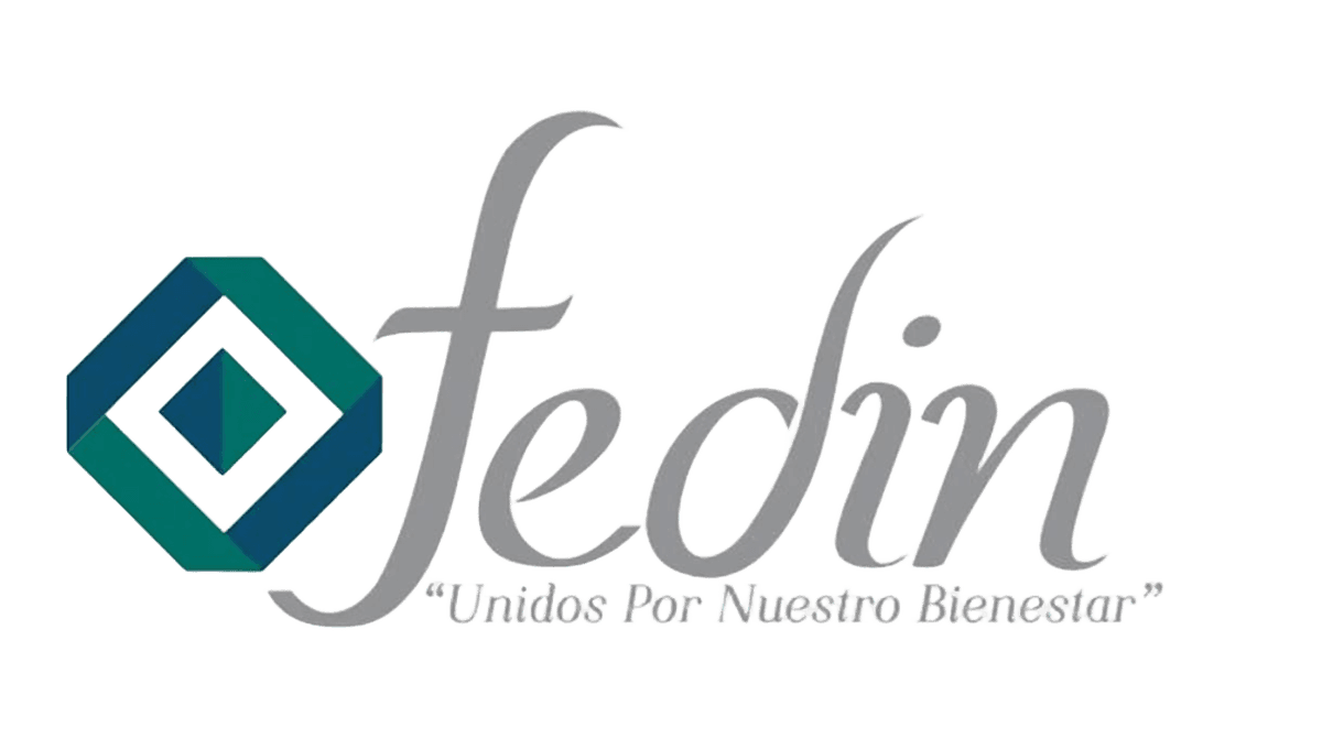 Fedin